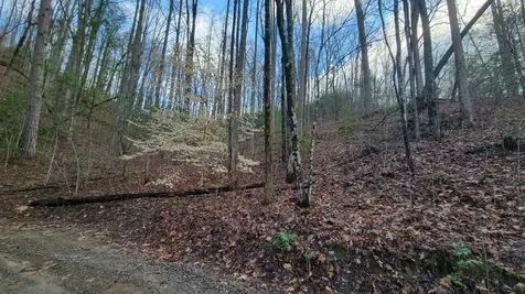 27 Page Lane Murphy NC 28906