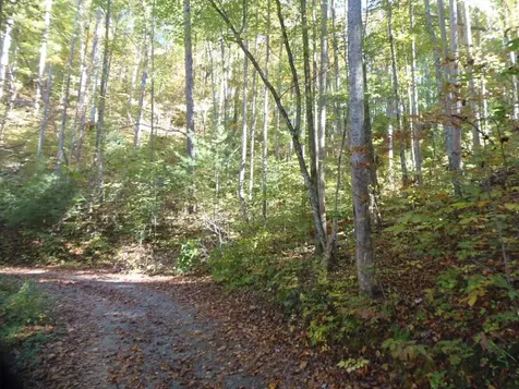 27 Page Lane Murphy NC 28906