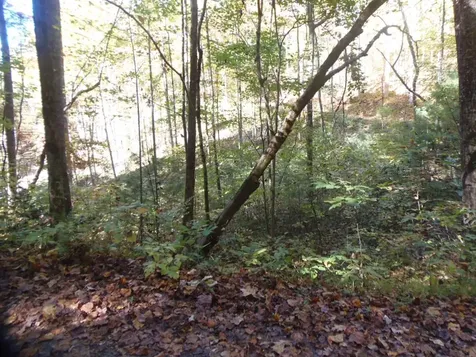 27 Page Lane Murphy NC 28906