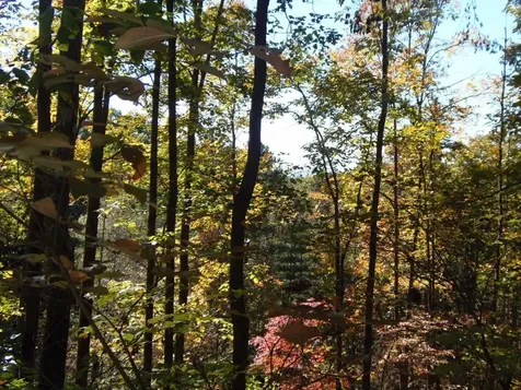 27 Page Lane Murphy NC 28906