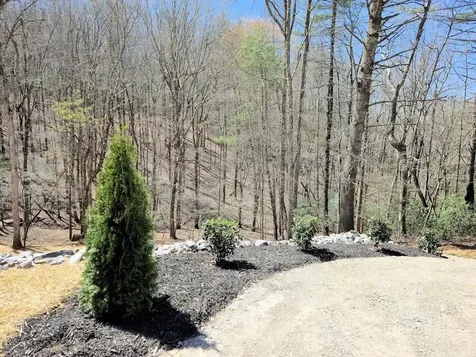 342 Hunter Ridge Murphy NC 28906