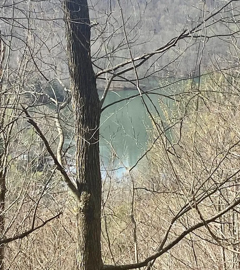 26 Hidden Falls Trail Robbinsville NC 28771