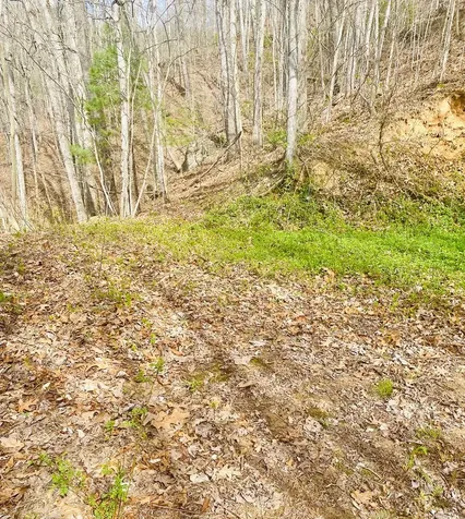 26 Hidden Falls Trail Robbinsville NC 28771