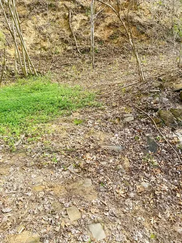 26 Hidden Falls Trail Robbinsville NC 28771