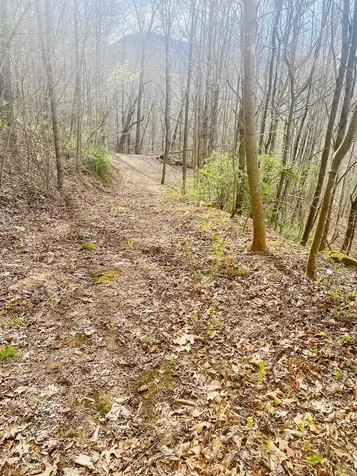 26 Hidden Falls Trail Robbinsville NC 28771