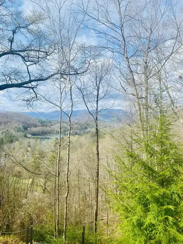 26 Hidden Falls Trail Robbinsville NC 28771