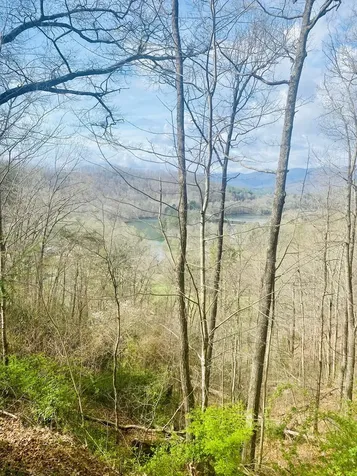 26 Hidden Falls Trail Robbinsville NC 28771