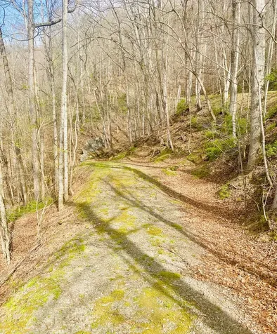 26 Hidden Falls Trail Robbinsville NC 28771