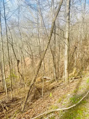 26 Hidden Falls Trail Robbinsville NC 28771