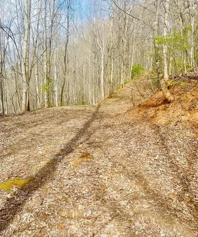 26 Hidden Falls Trail Robbinsville NC 28771