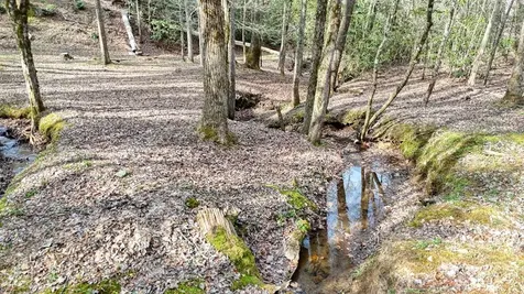 520 Farmer Drive Murphy NC 28906