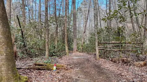 520 Farmer Drive Murphy NC 28906