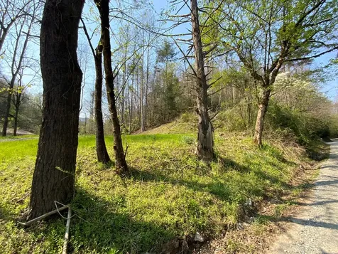 1000 Hyatt Creek Road Marble NC 28905