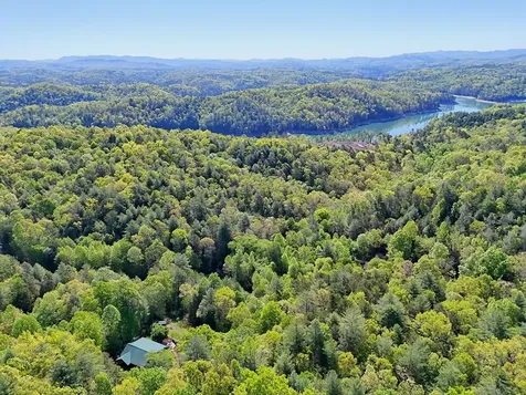 71 Leisure Time Lane Murphy NC 28906