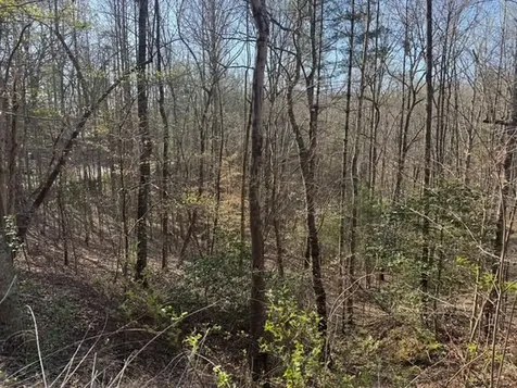 00 Robin Road & Wren Lane Murphy NC 28906
