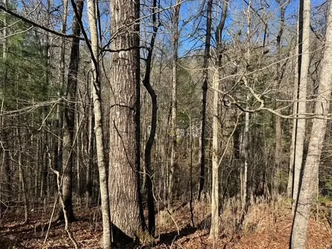 00 Robin Road & Wren Lane Murphy NC 28906