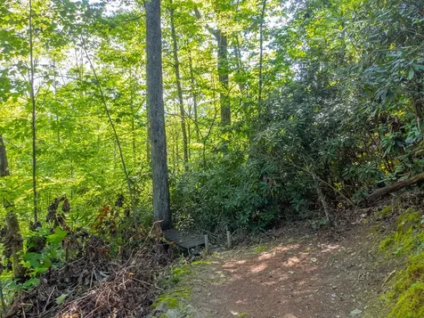 283 Briggs Cove Road Robbinsville NC 28771