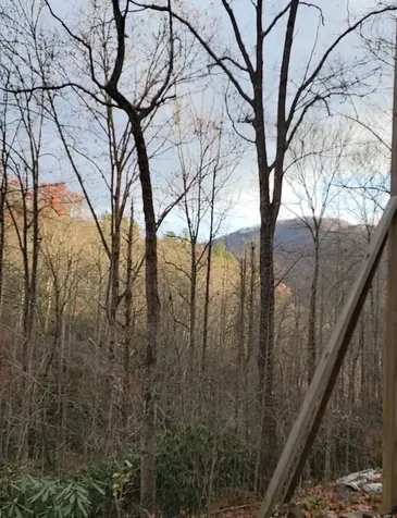 283 Briggs Cove Road Robbinsville NC 28771