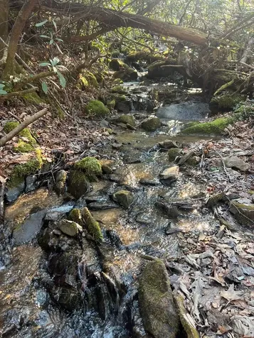 283 Briggs Cove Road Robbinsville NC 28771