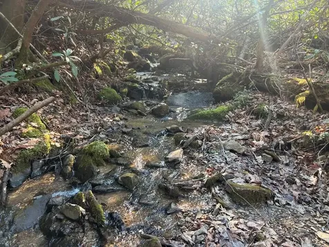 283 Briggs Cove Road Robbinsville NC 28771