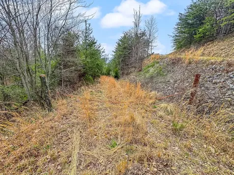 13 Acres American Eagle Road Murphy NC 28906