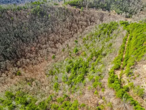 13 Acres American Eagle Road Murphy NC 28906