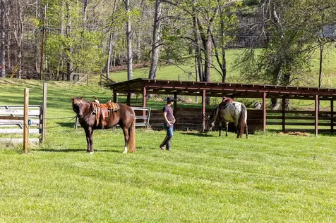 Brasstown NC 28902