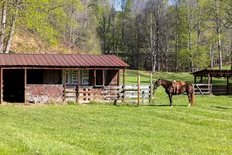 Brasstown NC 28902