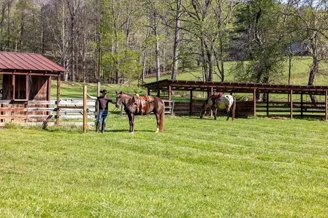 Brasstown NC 28902