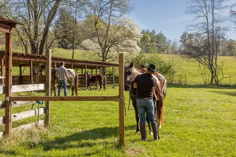 Brasstown NC 28902