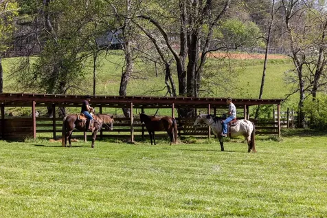 Brasstown NC 28902