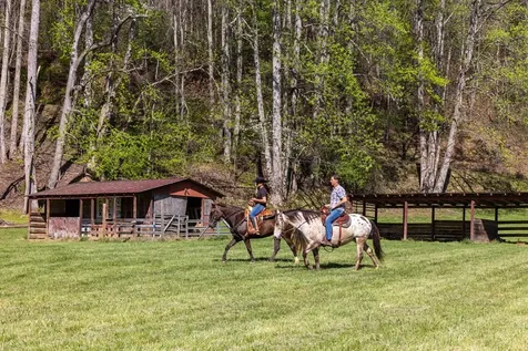 Brasstown NC 28902