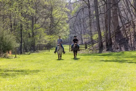 Brasstown NC 28902