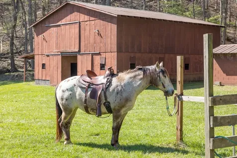 Brasstown NC 28902