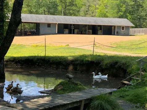 136 Gibson Road Andrews NC 28901