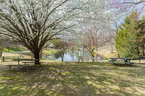 509 Lonesome Pine Murphy NC 28906