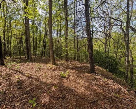 348 Atali Circle Murphy NC 28906