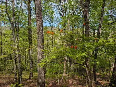 348 Atali Circle Murphy NC 28906