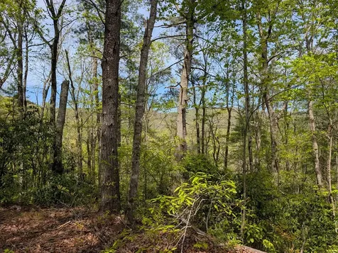 348 Atali Circle Murphy NC 28906