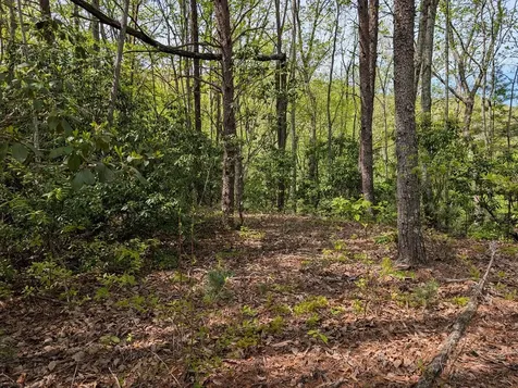 348 Atali Circle Murphy NC 28906