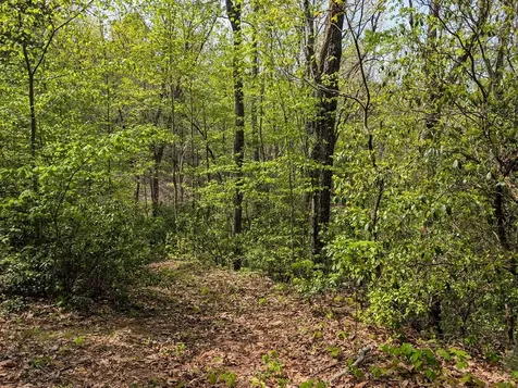 348 Atali Circle Murphy NC 28906