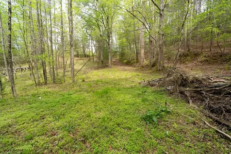 125 Milk And Honey Drive Murphy NC 28902