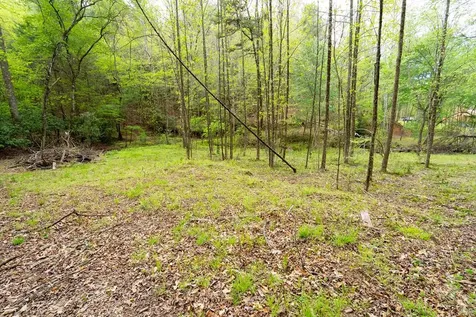 125 Milk And Honey Drive Murphy NC 28902