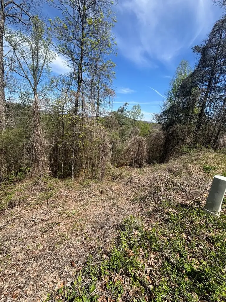 200 Carolina Fox Circle Murphy NC 28906