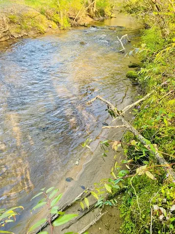 Lot 5 Carringer Road Robbinsville NC 28771