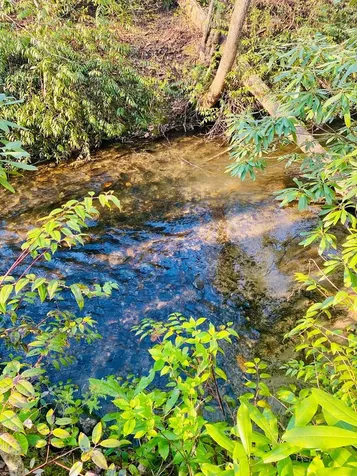 Lot 5 Carringer Road Robbinsville NC 28771