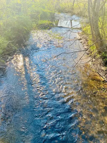 Lot 5 Carringer Road Robbinsville NC 28771