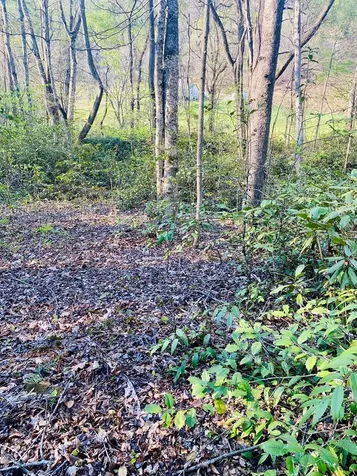 Lot 5 Carringer Road Robbinsville NC 28771