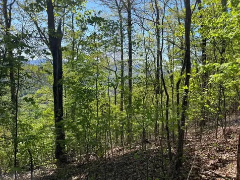 Lot 11j Ash Branch View Hayesville NC 28904