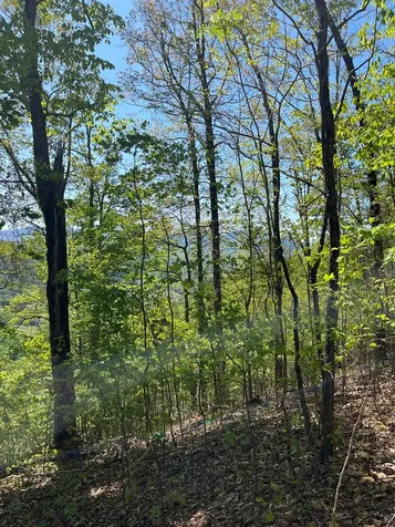 Lot 11j Ash Branch View Hayesville NC 28904